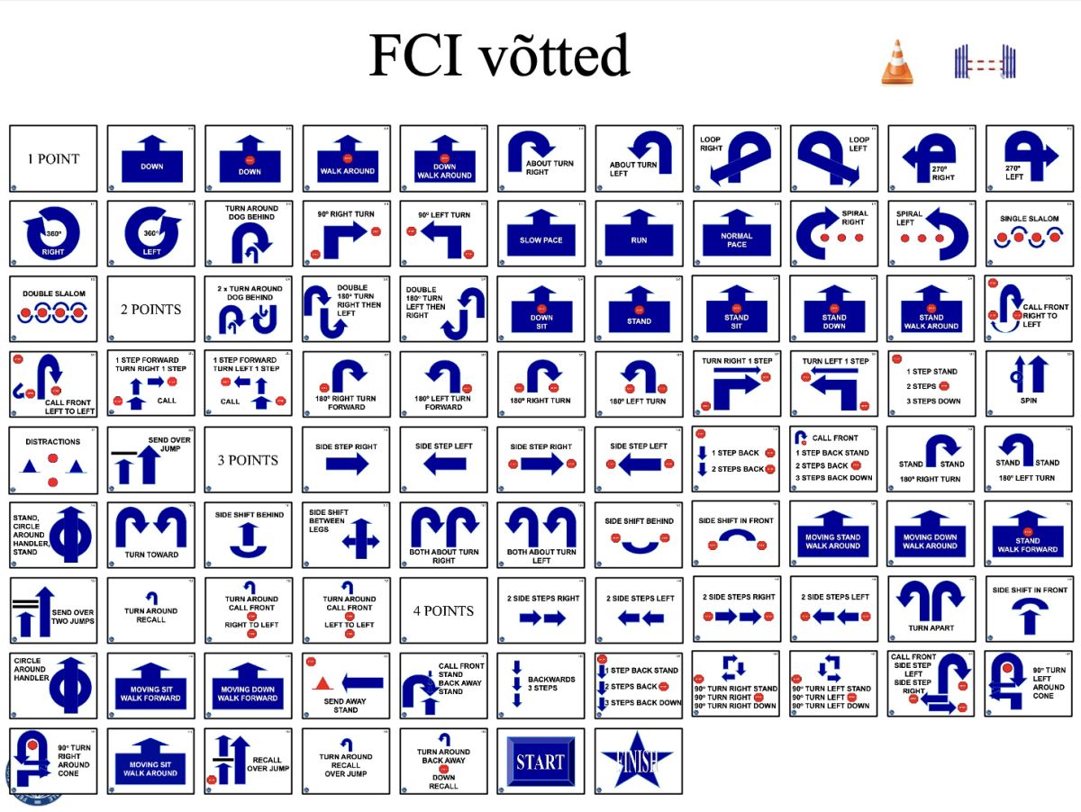 FCI siltide koolitus