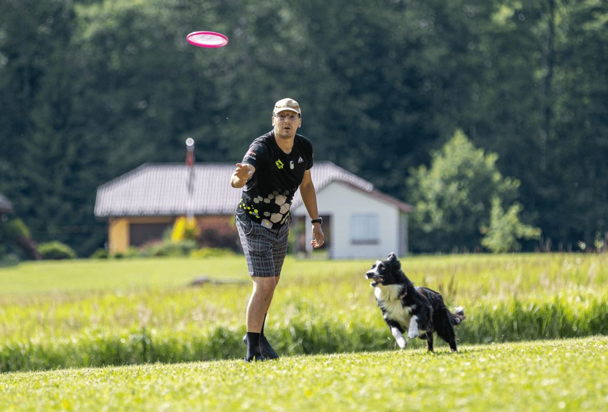 Frisbee webinar