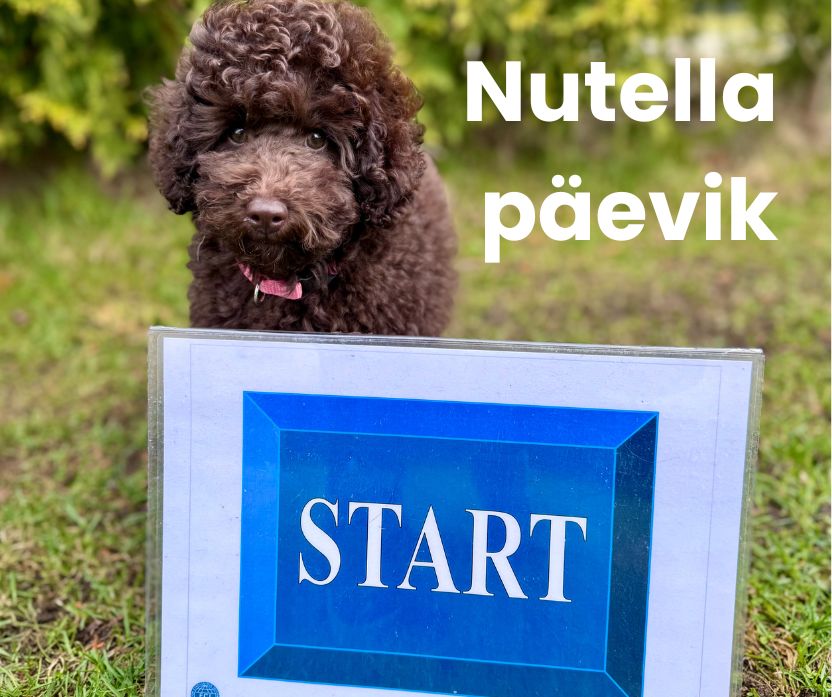 Nutella veebipäevik