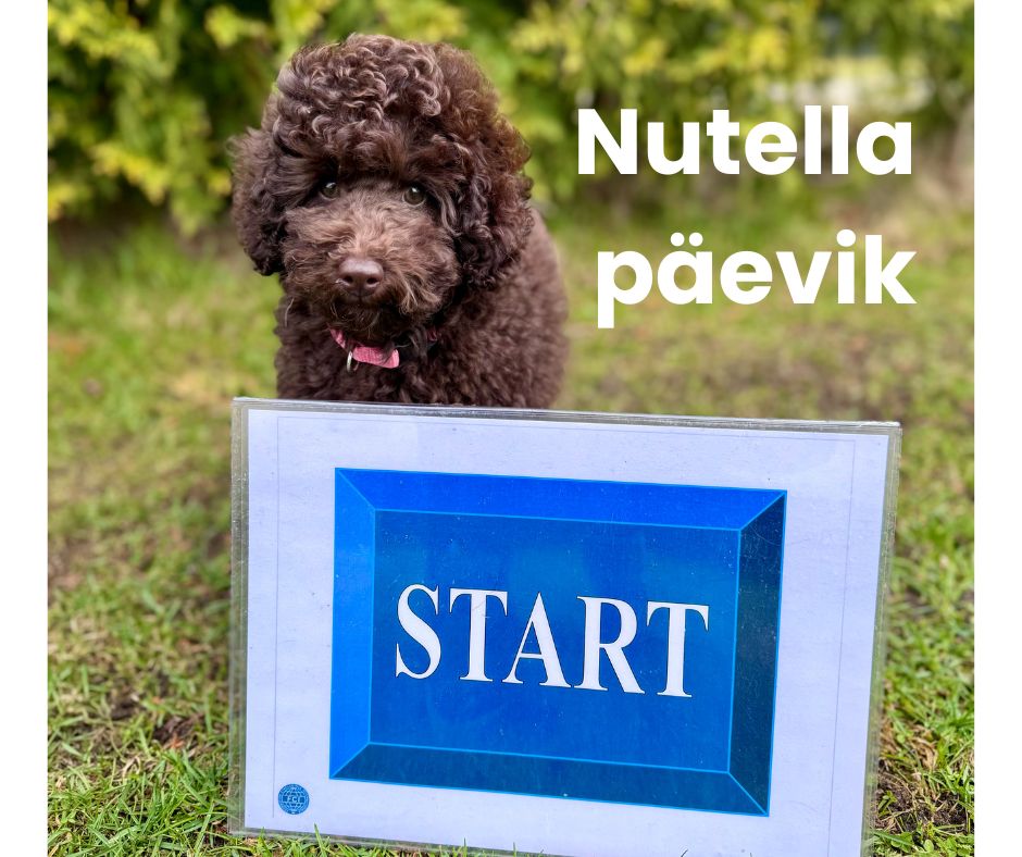 Nutella veebipäevik