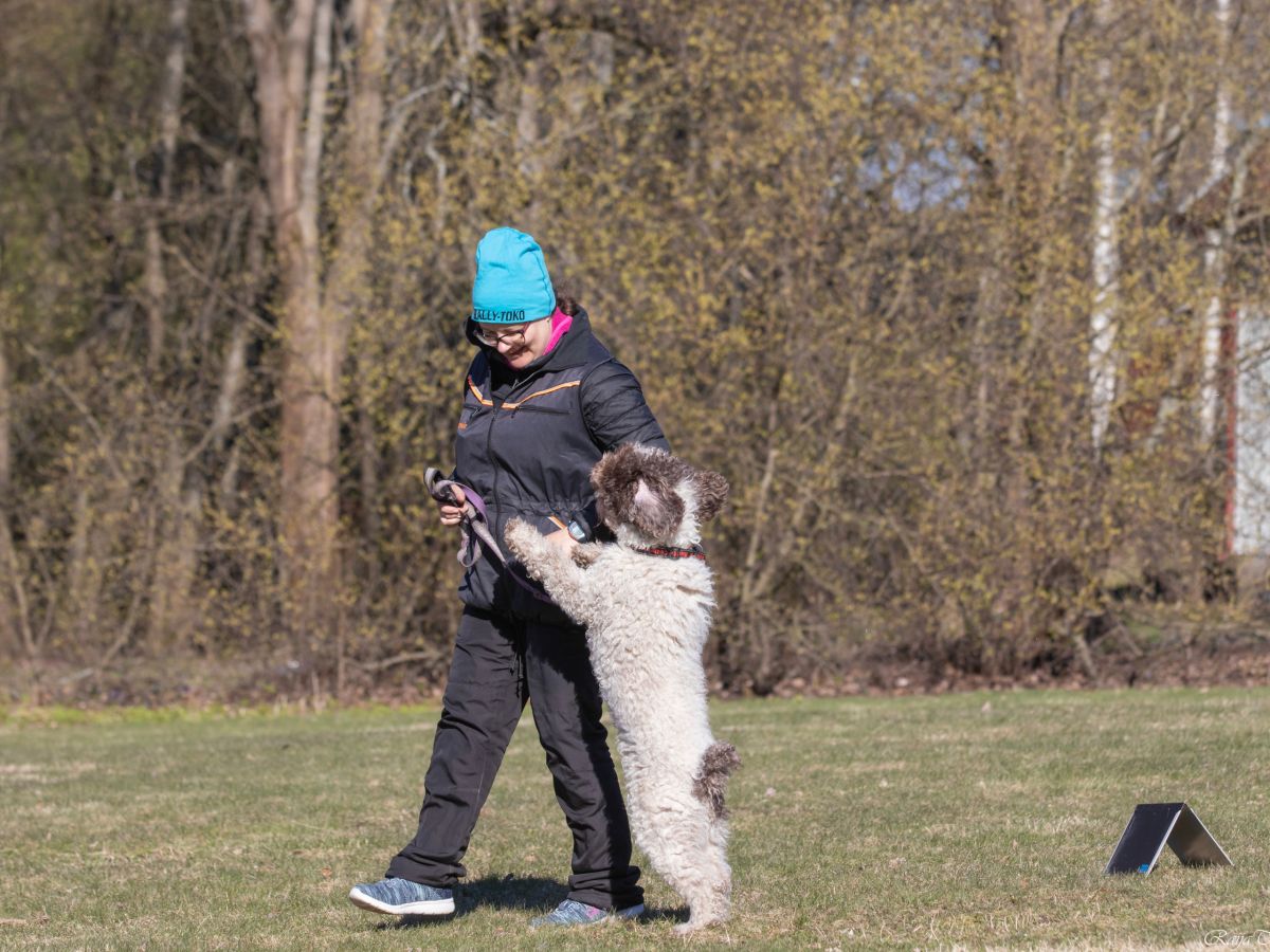 Rallikuulekuse seminar 24.09.