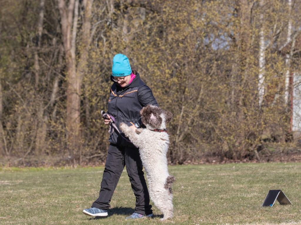 Rallikuulekuse seminar 24.09.