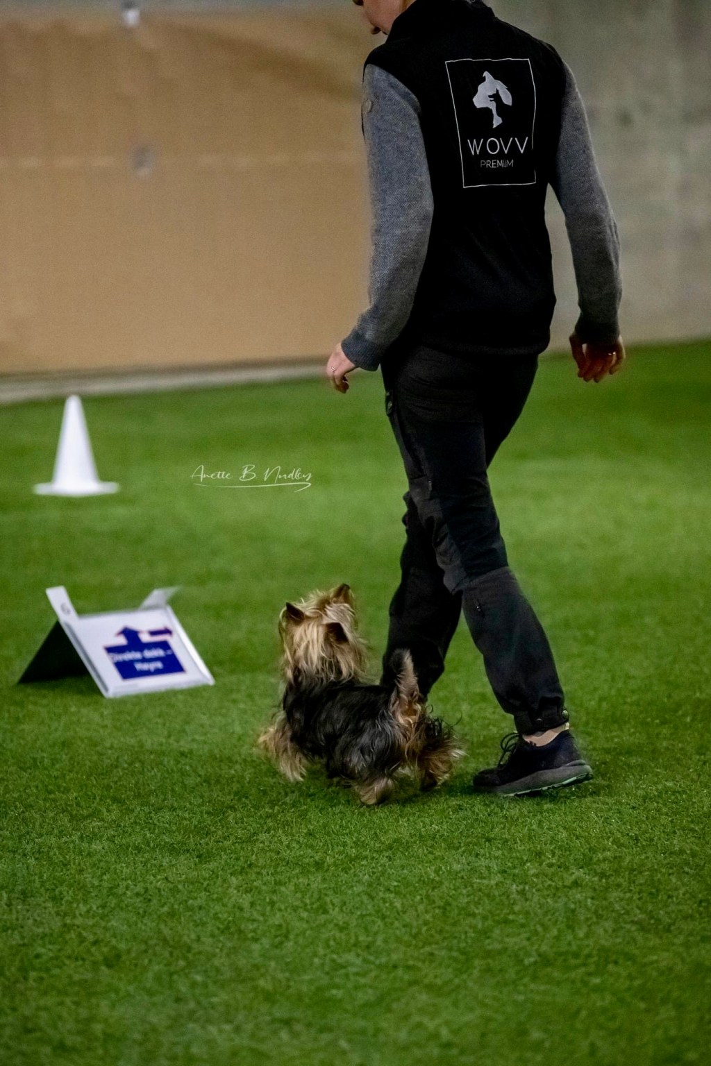 Webinar: RK võtted- nipid&nbsp;õpetamiseks!