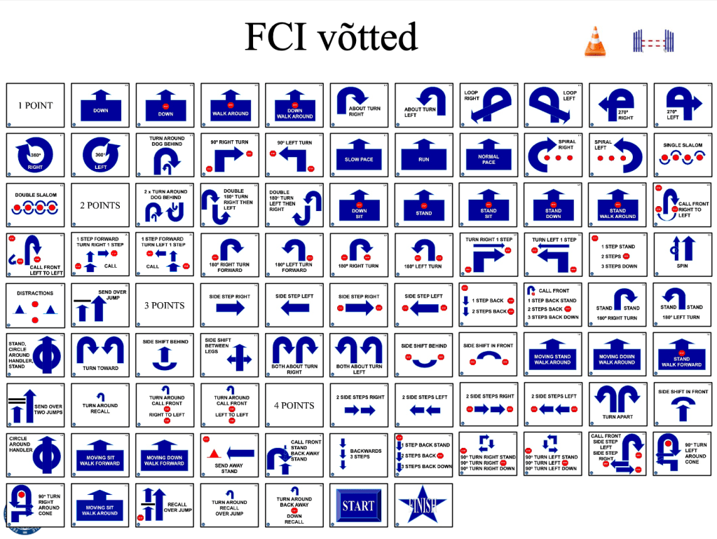FCI siltide koolitus
