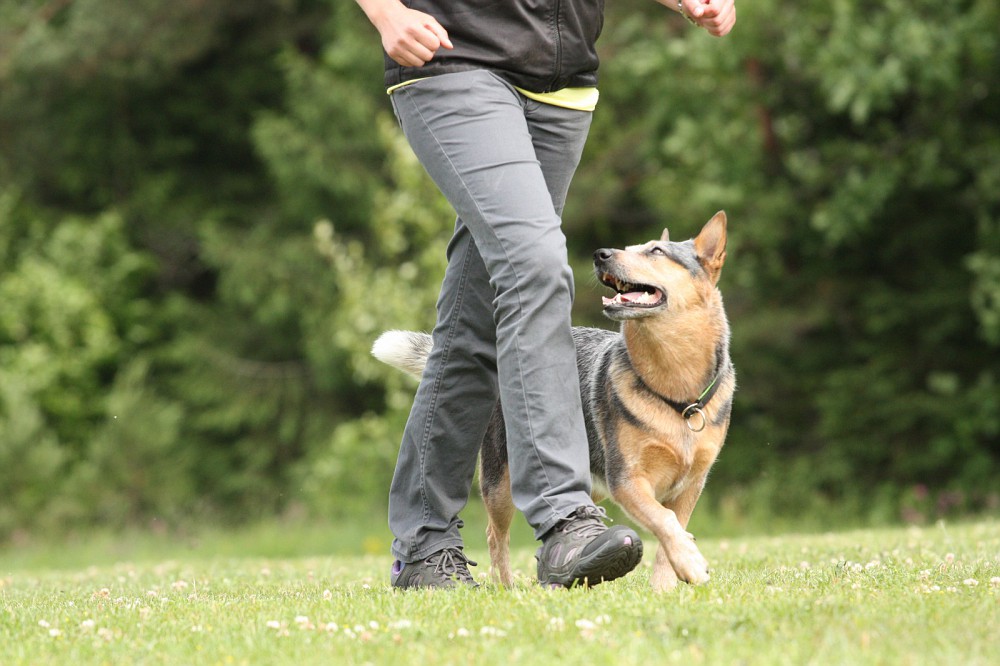 Uus rallikuulekuse algkursus