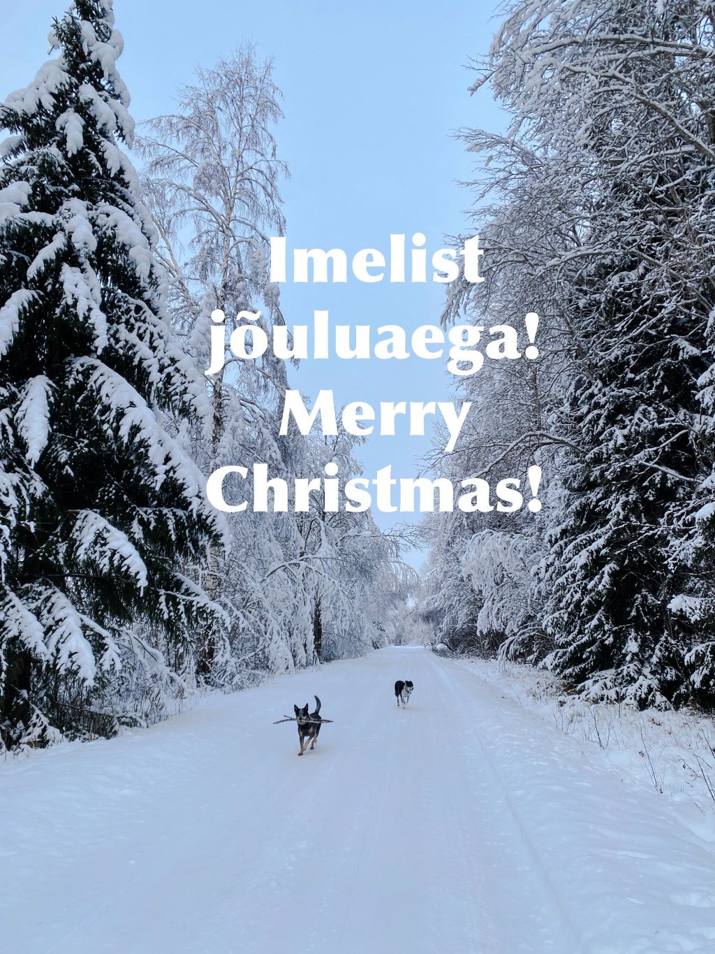 Imelist jõuluaega!