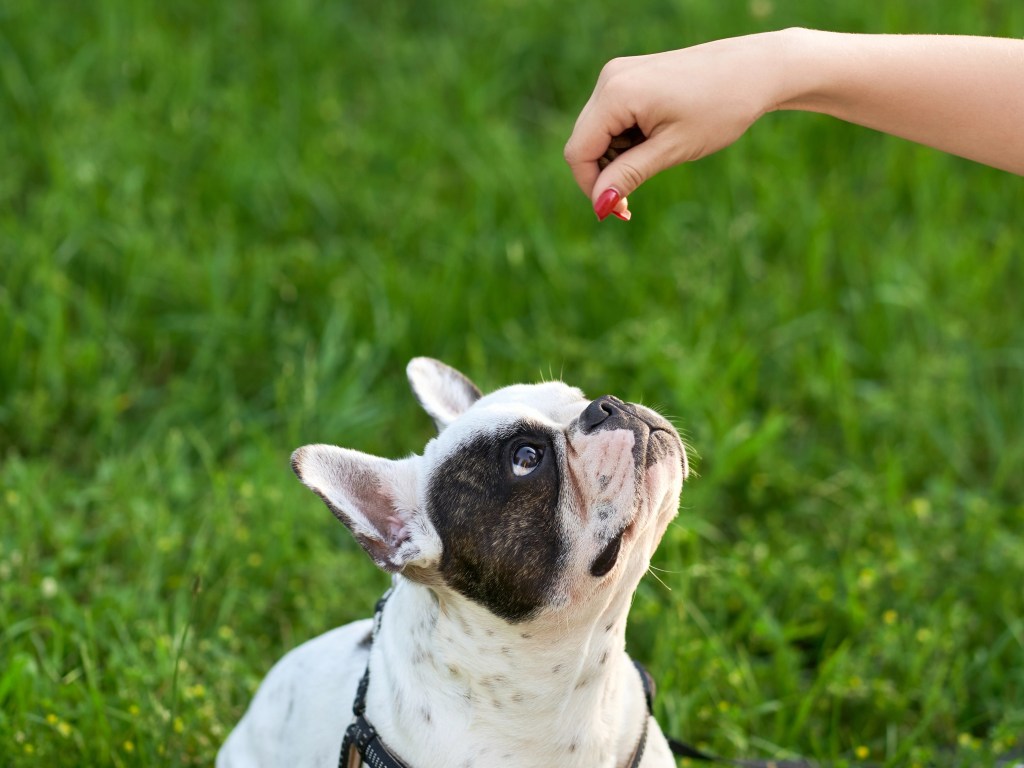 Webinar: Premeerimine