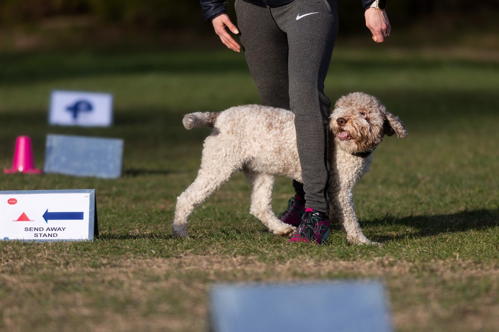 Rallikuulekuse algkursus hommikuti