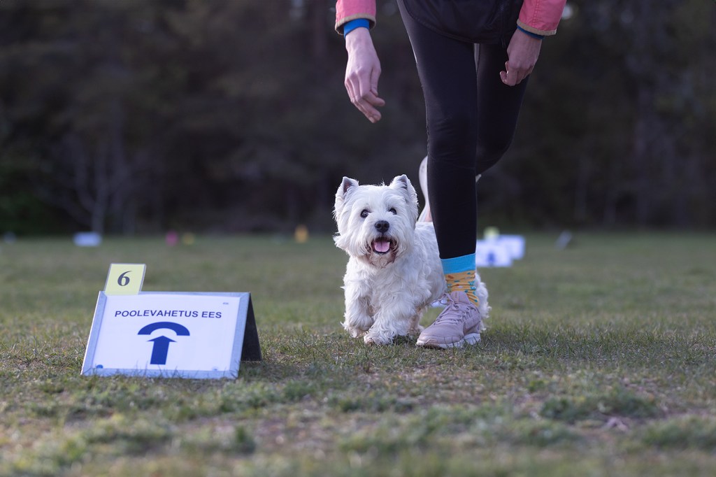 Rallikuulekuse algkursus