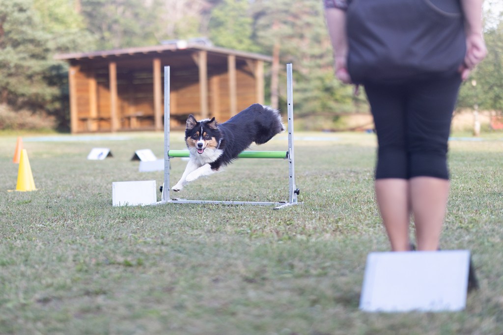RK võistlustreening 02.11
