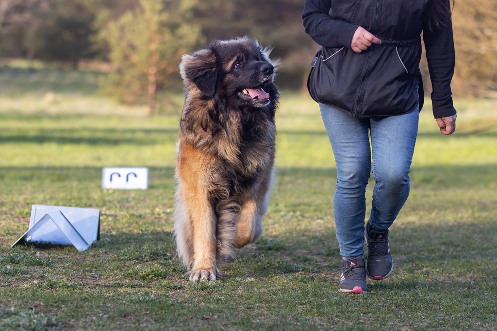 RK algkursus Sõjamäel